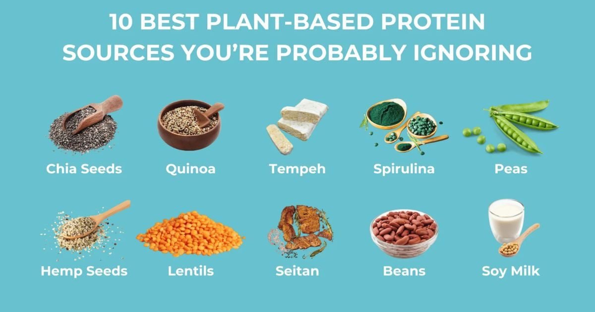 Plant Protein Sources